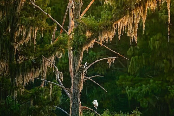 2-Hour Date Night and Sunset Cruise Near New Orleans - Stop 1: the Tchefuncte River Light Station photo hour