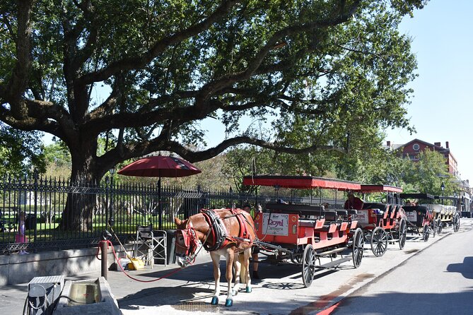 45-Minute French Quarter Highlights Tour in New Orleans - Key points worth knowing before you go