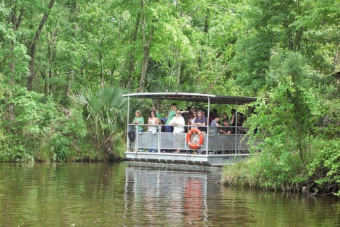 90-Minute Jean Lafitte Swamp and Bayou Tour with Transportation - Key Things You’ll Notice On This Tour