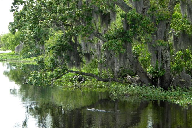 90-Minute Jean Lafitte Swamp and Bayou Tour with Transportation - What the Guide Brings: From Captain Jamie to Captain Jason
