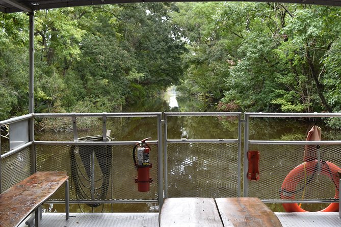 90-Minute Jean Lafitte Swamp and Bayou Tour with Transportation - Swamp Ecosystem Talk, Legends, and Photo-Ready Moments