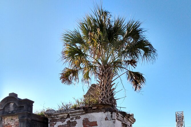 A Local's Garden District Tour - French Quarter walking: Creole vs American New Orleans, in plain language