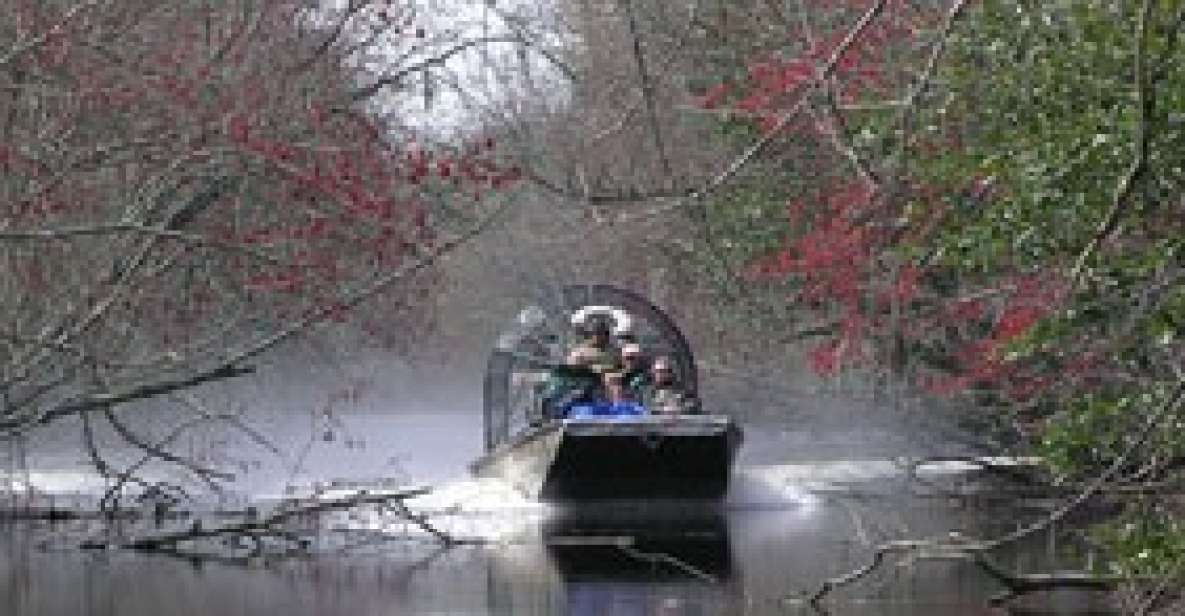 Airboat Tour of Louisiana Swamps - Louisiana Swamps: The Feeling You Get When You Can’t Hear Yourself Think