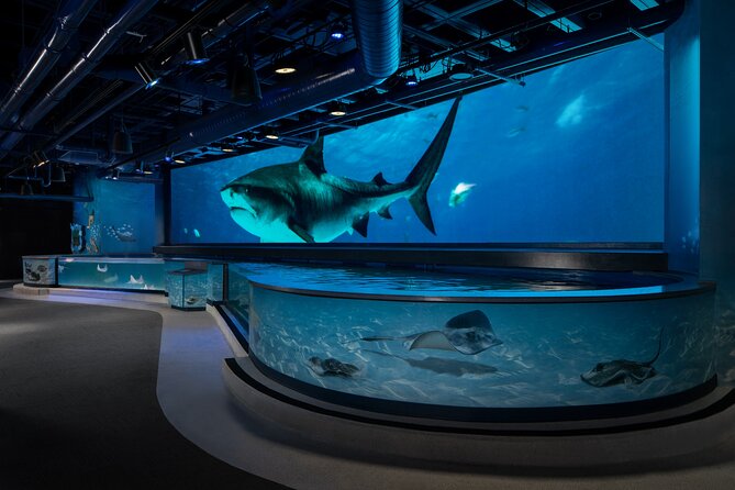 Audubon Aquarium and Insectarium Ticket - Audubon Aquarium and Insectarium: What you’re really buying for $42.77