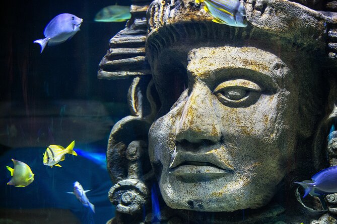 Audubon Aquarium and Insectarium Ticket - The Amazon Rainforest gallery: where the exhibit becomes a mini ecosystem