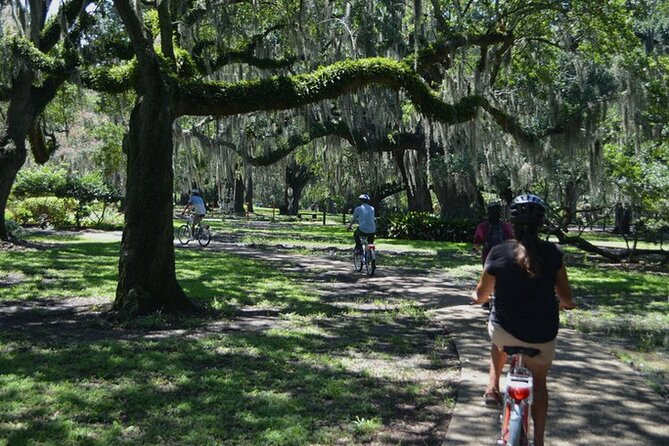 Beyond the French Quarter Bike Tour - City Park under live oaks and Spanish moss, plus a Café Du Monde break