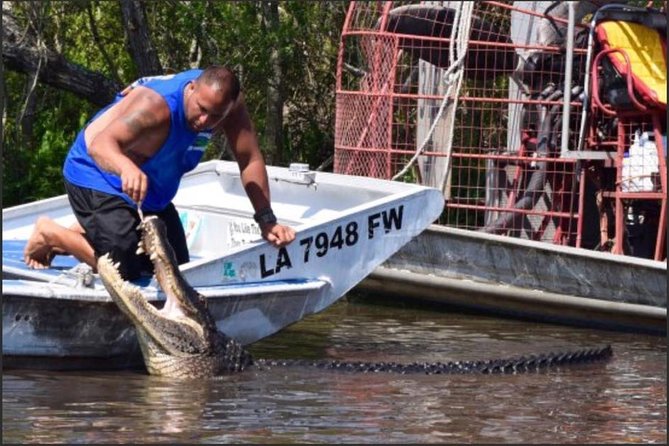 Destrehan Plantation and Large Airboat Tour from New Orleans - Barataria Preserve on an airboat: speed, wildlife, and photo pauses