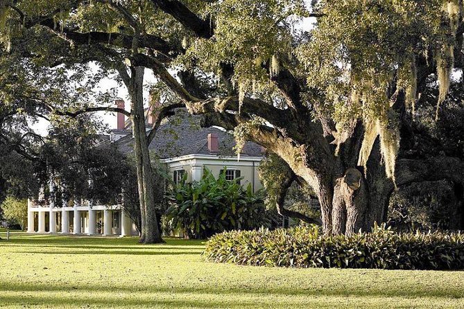 Destrehan Plantation and Swamp Tour from New Orleans - What you’ll learn on the boat: swamp life, gators, and the why