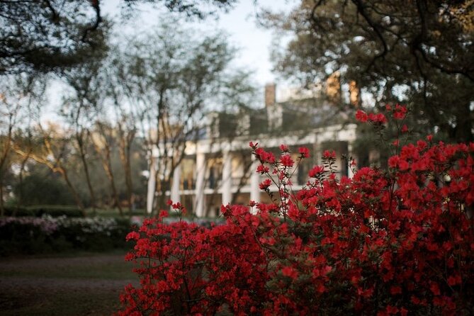 Explore Oak Alley Plantation Guided Tour with Transportation - Key highlights before you go