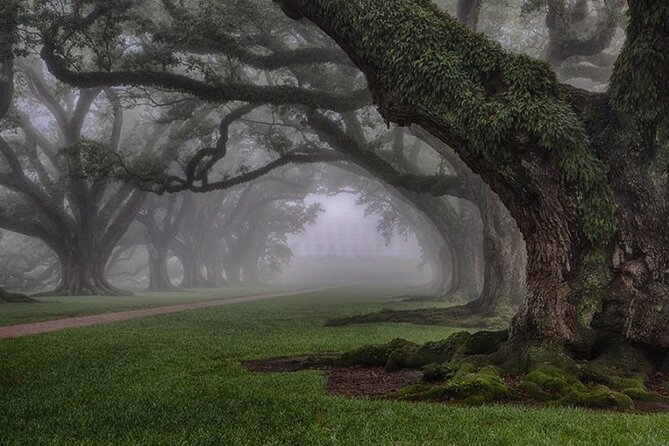 Explore Oak Alley Plantation Guided Tour with Transportation - Slavery at Oak Alley: why this exhibit is the heart of the visit