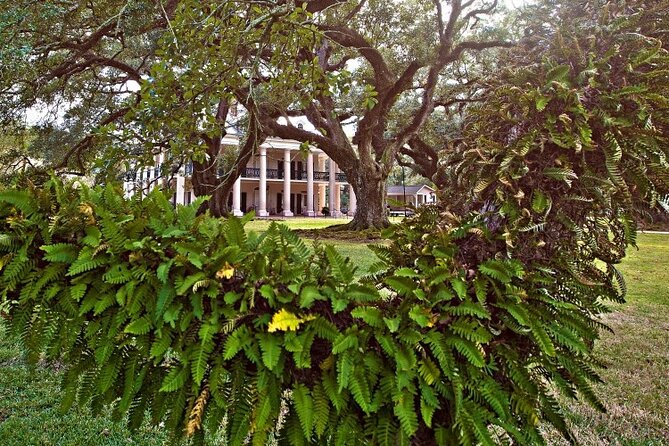 Explore Oak Alley Plantation Guided Tour with Transportation - Confederate Commanding Officer’s Tent: a historical exhibit within the larger story
