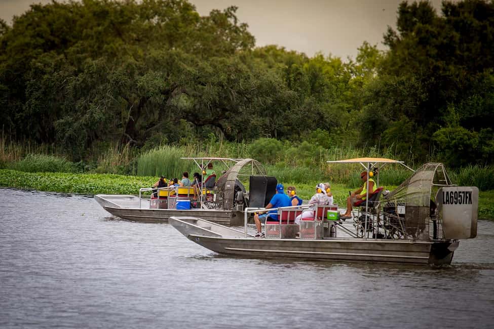 From New Orleans: Airboat Adventure Tour with Transportation - Birdlife and Small-Motion Details That Make the Ride Better