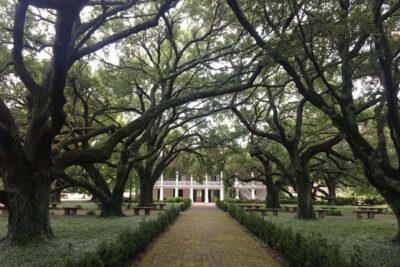 From New Orleans: Whitney Plantation and Airboat Tour Combo - The Audio Headset: Freedom to Go Your Pace