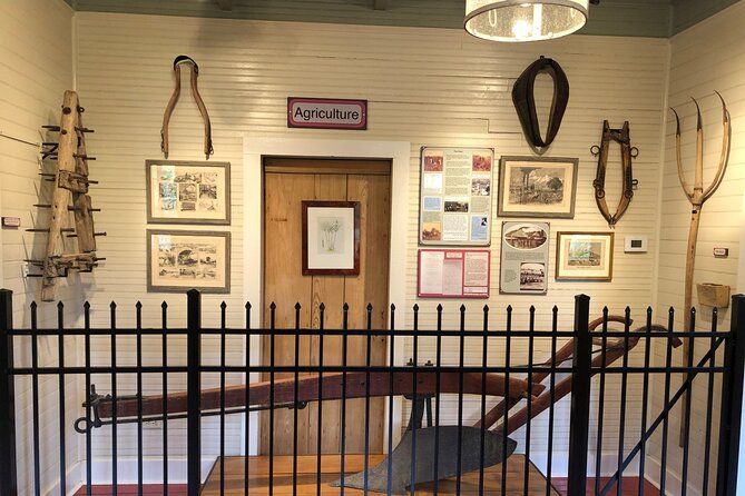 Full-Day Laura Plantation & Airboat Swamp Tour with Pick up - Who This Tour Fits Best (And Who Might Prefer Something Else)