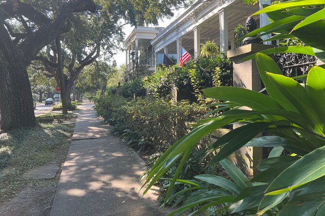 Garden District Architecture Walking Tour in New Orleans - Should You Book This Garden District and Cemetery Tour?