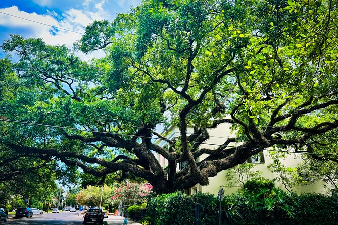 Garden District Walking Tour - What to wear and what to watch out for on your feet