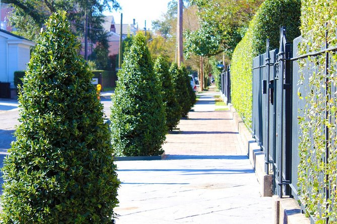 Garden District Walking Tour of New Orleans - Timing, tickets, and the one thing to prepare