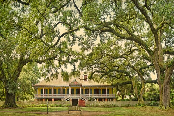 Guided Laura Plantation Tour from New Orleans - New Orleans to Laura Plantation: the practical start that matters