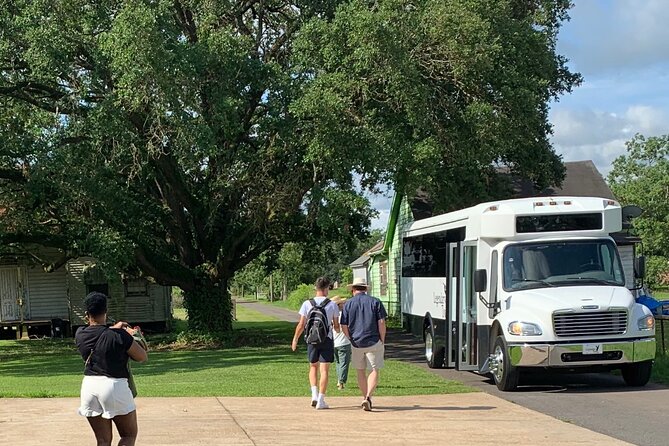 Guided Laura Plantation Tour from New Orleans - Transportation value: why this day trip can be worth the $79