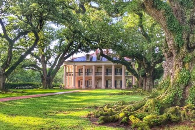 Half-Day Oak Alley Plantation Tour - Hotel pickup and the group rhythm of up to 41