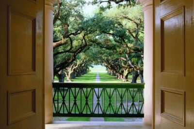 Half-Day Oak Alley Plantation Tour - The ride out: why it changes your pace (in a good way)