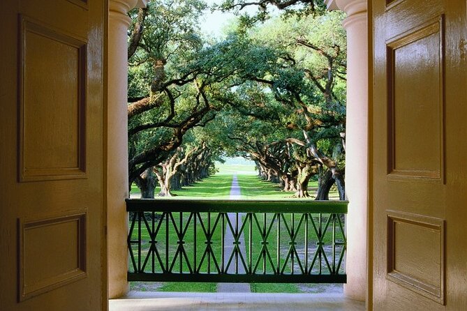 Half-Day Oak Alley Plantation Tour - The ride out: why it changes your pace (in a good way)
