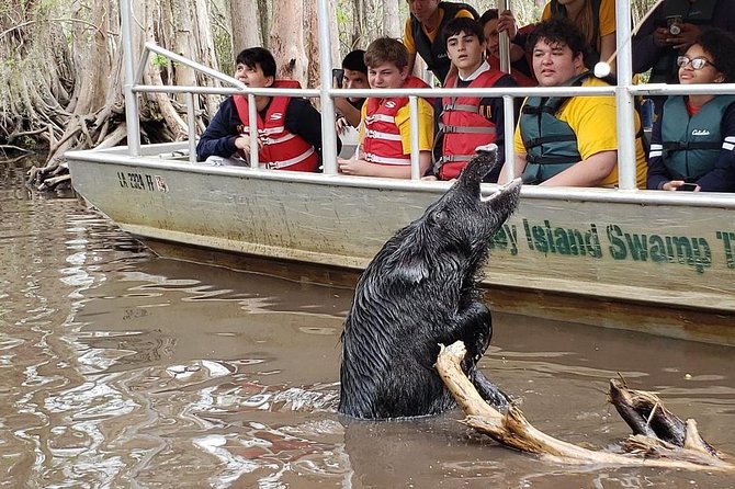 Honey Island Swamp Private Tour with Transport from New Orleans - How the private format changes your day (and why it’s not just a bigger boat)