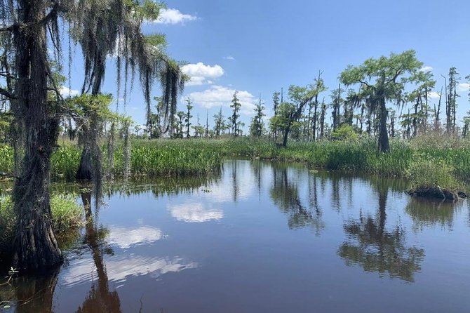 Large Airboat Swamp Tour with Transportation from New Orleans - Price and Value: Why $90 Can Make Sense Here