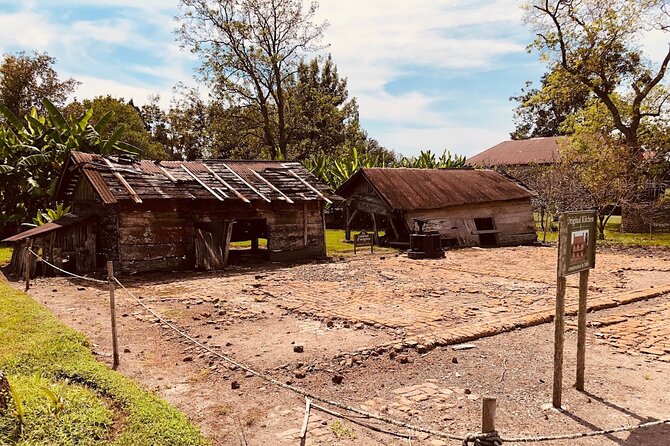 Laura Plantation Half-Day Tour from New Orleans - Why this tour feels different than the usual plantation visit