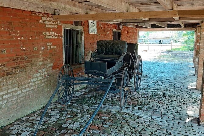 Laura Plantation Half-Day Tour from New Orleans - St. Joseph Plantation: oak-tree alley and working sugarcane context