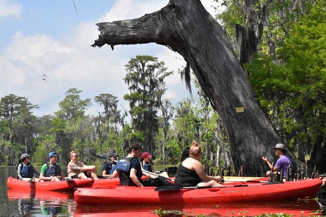 Manchac Swamp Extended 4-Hour Kayak Tour with Pickup - Key Reasons People Pick This Manchac Swamp Kayak Tour