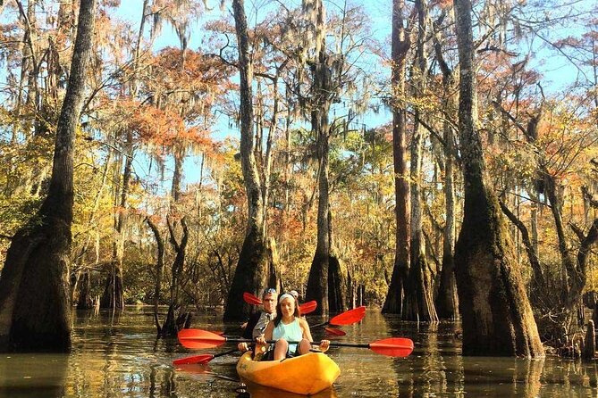 Manchac Swamp Extended 4-Hour Kayak Tour with Pickup - Swamp Paddling From New Orleans That Feels Like a Day Away