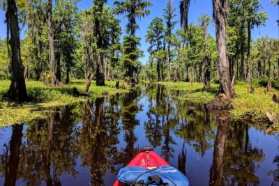 Manchac Swamp Extended 4-Hour Kayak Tour with Pickup - Pickup and Getting to Maurepas Without the Stress