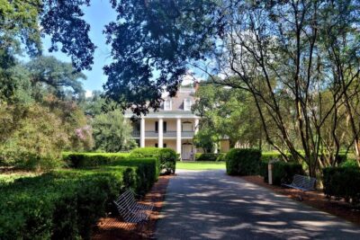 N’awlins Luxury: Laura, Oak Alley or Whitney Plantation Tour w/Transportation - Getting to Plantation Country: hotel pickup that keeps your day on track