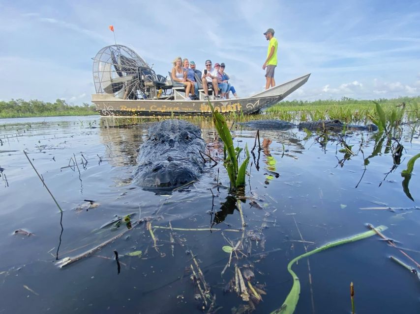 New Orleans: 10 Passenger Airboat Swamp Tour - Timing and Pacing: How a 90 to 150 Minute Tour Fits Your Day