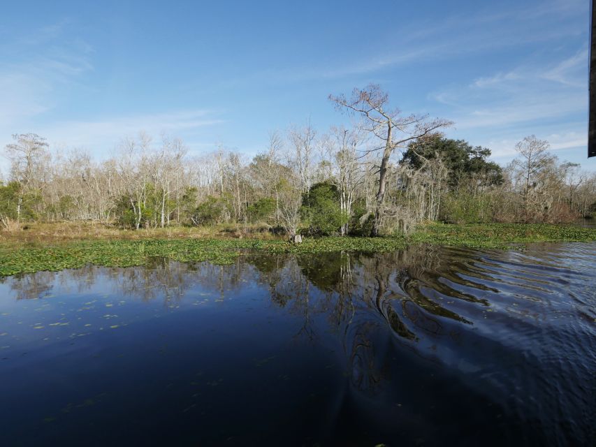New Orleans: Airboat or Pontoon Boat Cruise with Transfers - Key points that make this cruise worth your time
