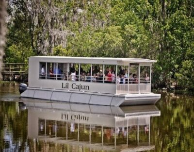 New Orleans: Airboat or Pontoon Boat Cruise with Transfers - Your two ride styles: pontoon calm or airboat adrenaline