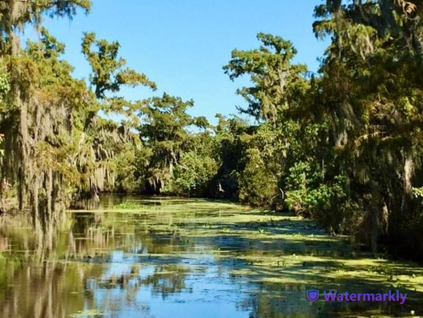 New Orleans: Airboat Swamp & City and Katrina Tour Combo - What to bring (and what to avoid) for an airboat day