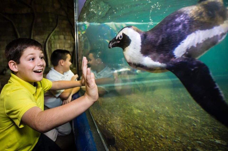 New Orleans: Audubon Aquarium & Insectarium Ticket - The Gift Shops: More Than a Souvenir Stop