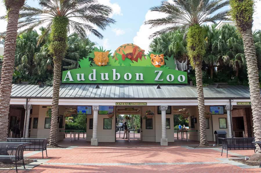 New Orleans: Audubon Zoo Ticket and Combination Option - Skip-the-line Audubon Zoo: what your ticket really includes