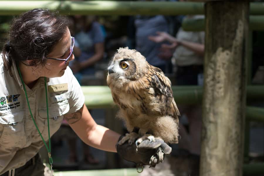 New Orleans: Audubon Zoo Ticket and Combination Option - Monkey Hill’s 5-level treehouse: fun that still fits the animal focus