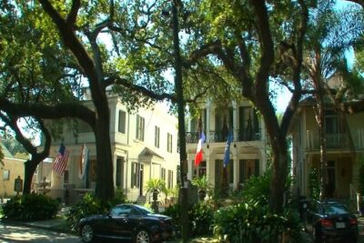 New Orleans City and Cemetery Bus Tour - The “big picture” drive: cathedral views and City Park moments