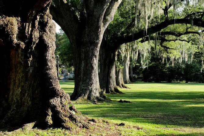 New Orleans: City Park Exploration Game and Tour - How to Make the App Work Smoothly (Without Losing Your Cool)