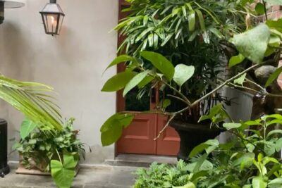New Orleans Courtyard Cocktails: Happy Hour Mixology Class - Where the class happens: the courtyard + happy hour timing