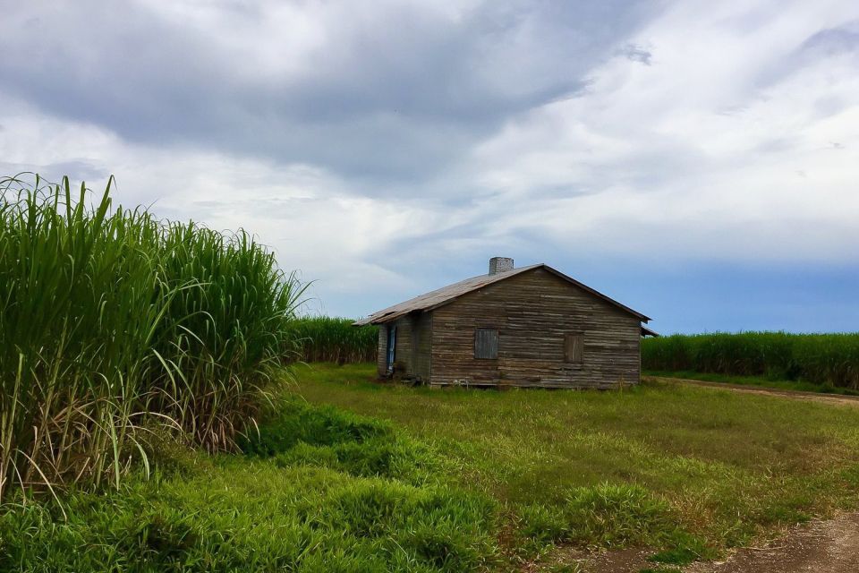 New Orleans: Destrehan Plantation & Airboat Combo Tour - Comfort rules: what to wear, who should skip it, and weather realities