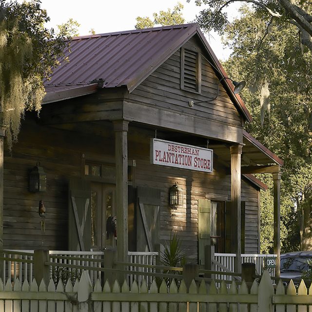 New Orleans: Destrehan Plantation Tour - Photo Time Under Live Oaks: Spanish Moss on Demand
