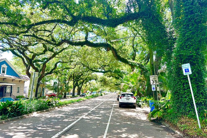 New Orleans Driving Tour with Bayou St. John, City Park, Treme - Should You Book This Tour?