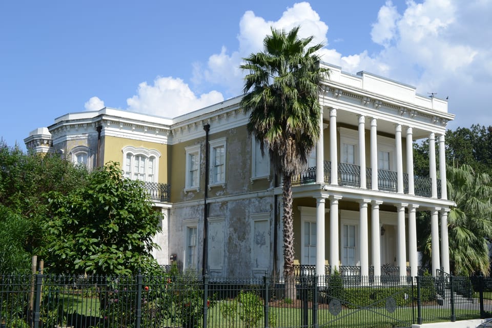 New Orleans: E-Buzz the Crescent & More eBike Tour - City Park and its massive live oaks: why this stop hits so hard