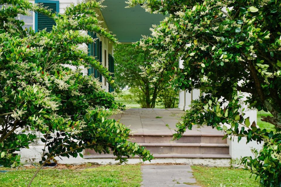 New Orleans: Felicity Plantation Guided Tour - How the 90 Minutes Flow: From Check-In to House and Grounds