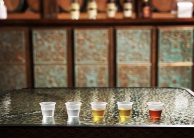 New Orleans: Guided Rum Distillery Tour and Tasting - The one-hour flow: what you’ll see and learn